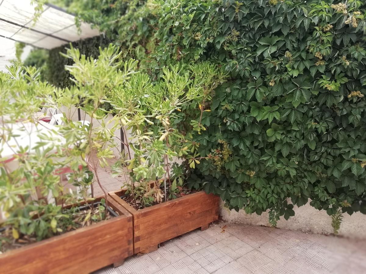 Hotel Noto Marina Stella Marina - B&B Lido di Noto Ngoại thất bức ảnh